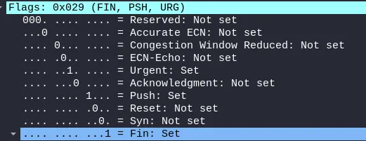 nmap-image