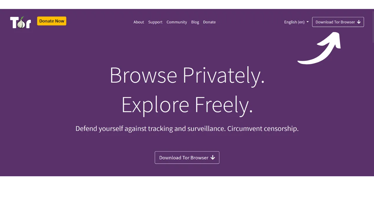TOR BROWSER