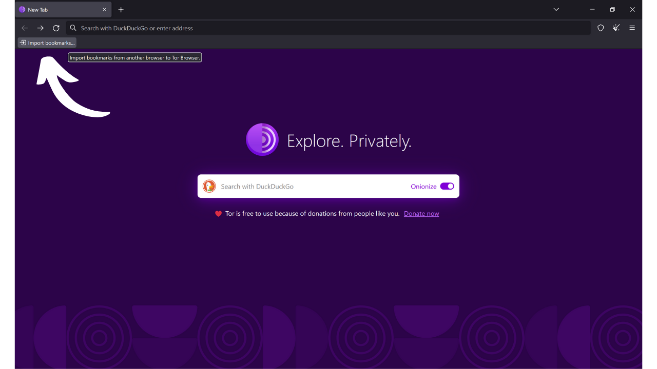 TOR BROWSER