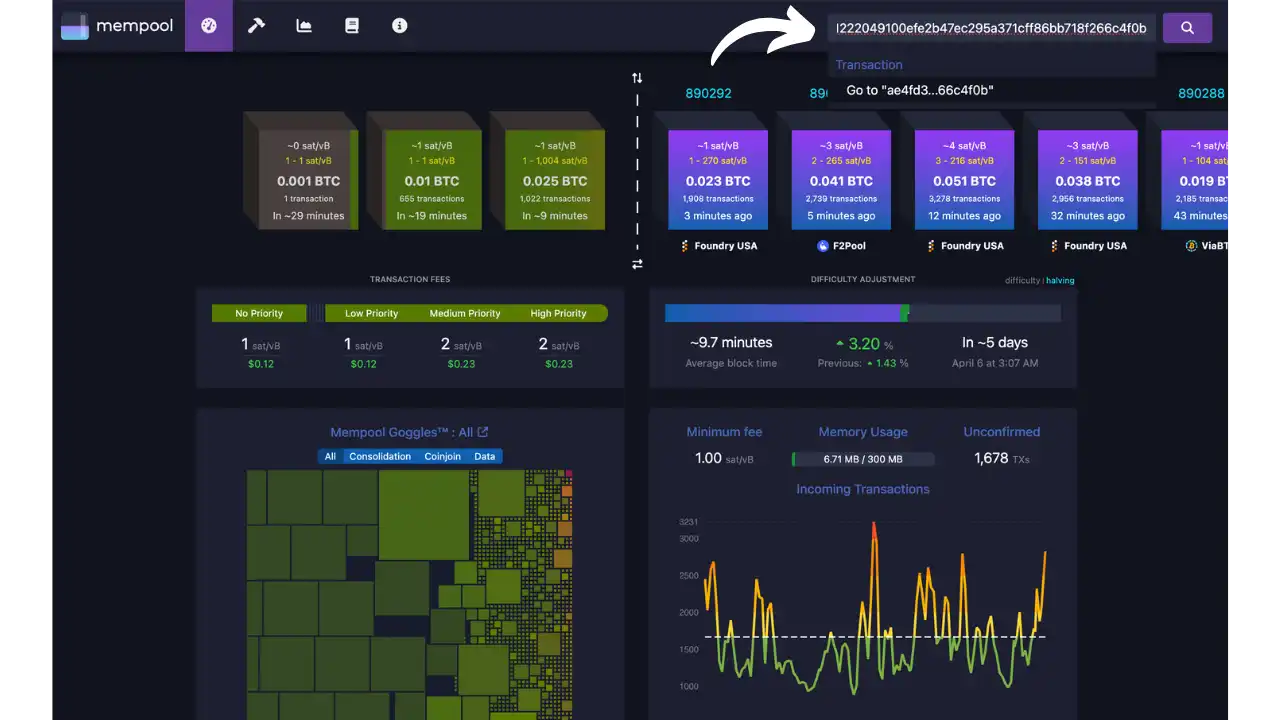 Recherche d'une transaction dans Mempool.space